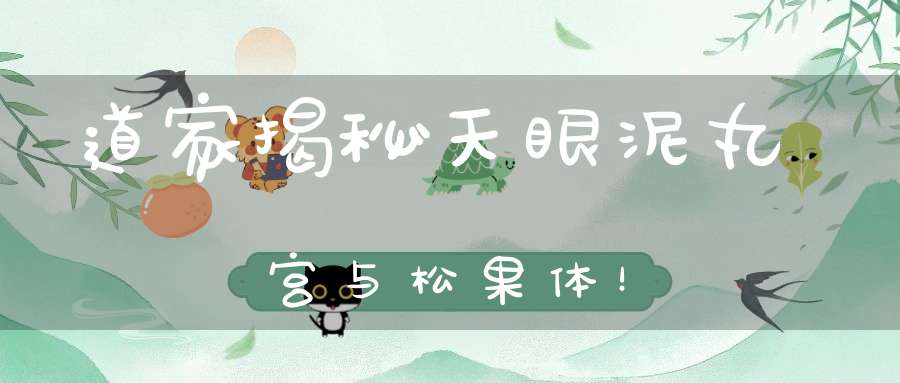 道家揭秘天眼泥丸宫与松果体！